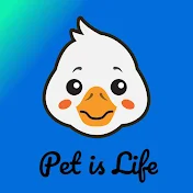 pet is life