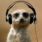 MeerkatMusicChannel