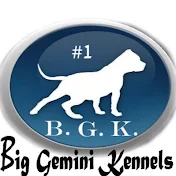 Big Gemini Kennels