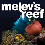 melevsreef