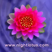 Night Lotus Productions