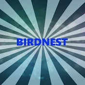 Birdnest