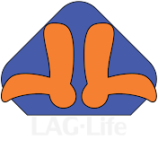 LagLife
