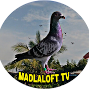 Madla Loft TV