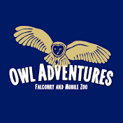 Owl Adventures