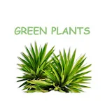 Green plants