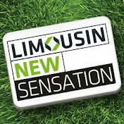 Limousin New Sensation