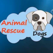 Animal rescue dogs