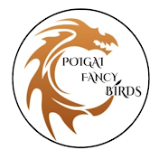 Poigai Fancy Birds Farm