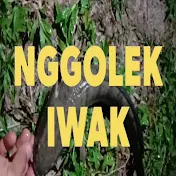 NGGOLEK IWAK