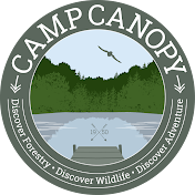 Camp Canopy