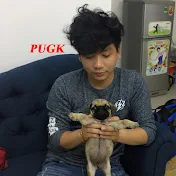 Khoa Pug