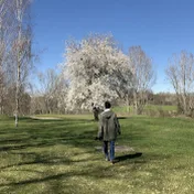 Relaxing Walking