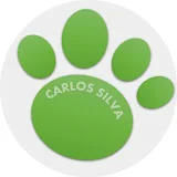 Carlos Silva YT