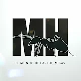 EL MUNDO DE LAS HORMIGAS