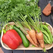 Food from the Balcony