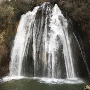 הרב רותם שנירר