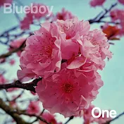 Blueboy - Topic