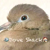 Dove Shack
