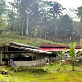 Palban’s Farm