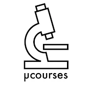 Microcourses