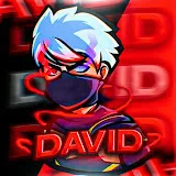 David Gamer YT