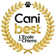 Canibest - éducation canine, comportement du chien