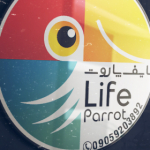 Lifeparrot