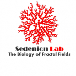 SedenionLab