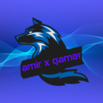 Amir x gamer