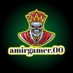 Amir gamer_00