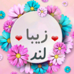 ✪✷زیبالند✪✷(❁فالو=فالو❁)