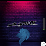 Amir gamer