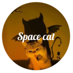 Space cat