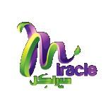 Online_shop_miracle