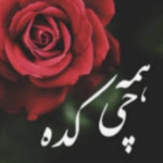 همه چی کده