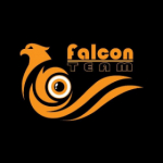 falcon_team6