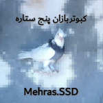 ♛ Mehras.SSD ♛