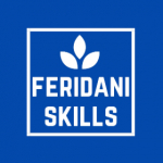 FeridaniSkills