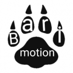 Bari motion