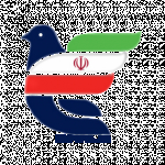 فیلم مسابقات کبوتران مسافتی ایران