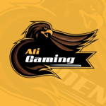 Ali _Gaming ✨