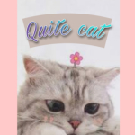 Quite cat 