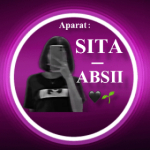 SITA_ABSII