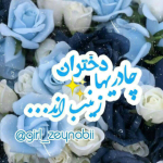 ❀دختــرانـ❀ زینبیـ❀♡