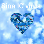 Sina IC virus po