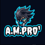 a.m.pro ¹