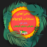 معلمان ایران