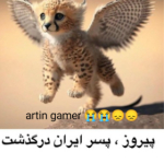 Artin gamer دنبال=دنبال (پیروز پسر ایران تلف شد)