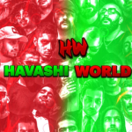 Havashi world/دنیای حواشی